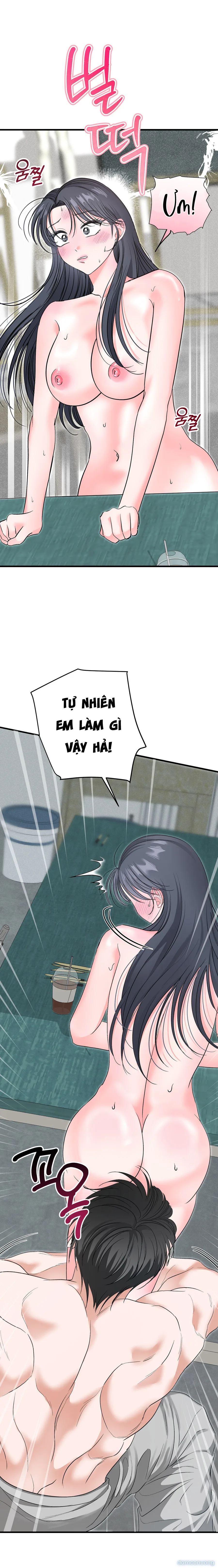 Ký Họa Đêm Hè 