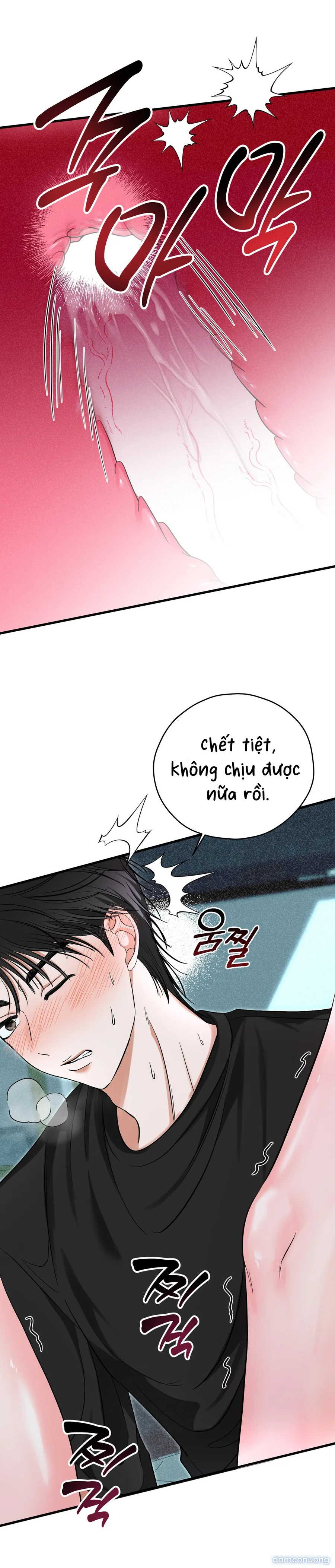 Ký Họa Đêm Hè 