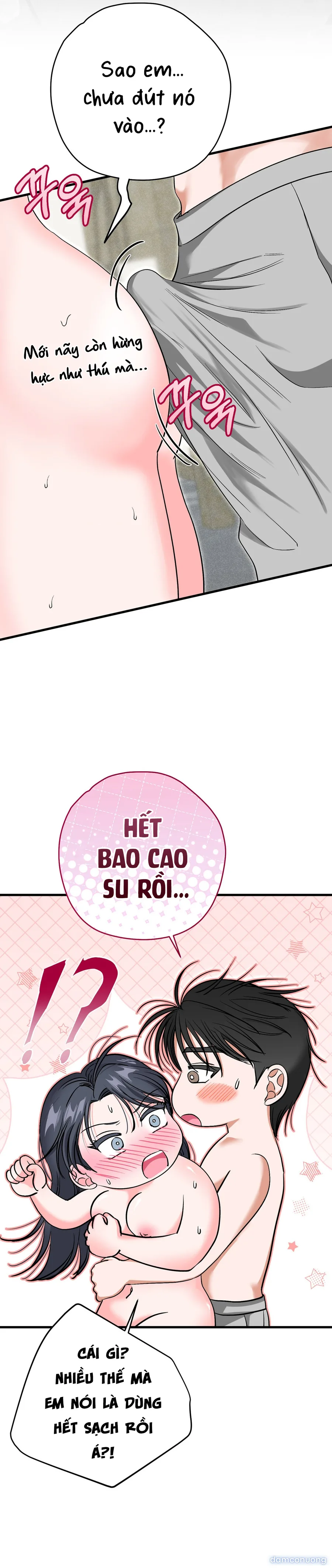 Ký Họa Đêm Hè 