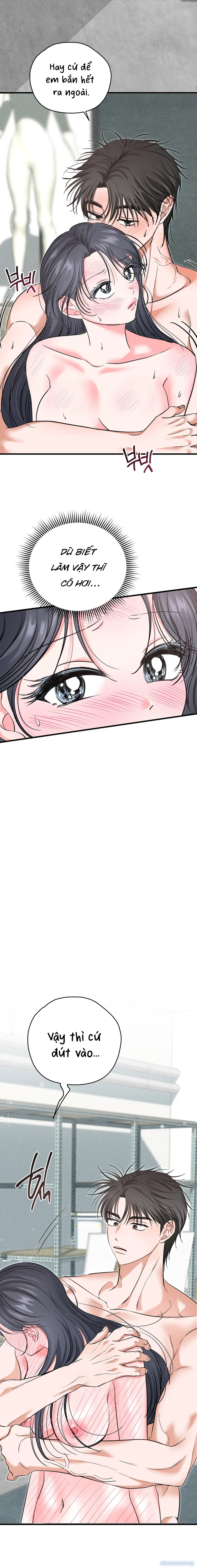 Ký Họa Đêm Hè 