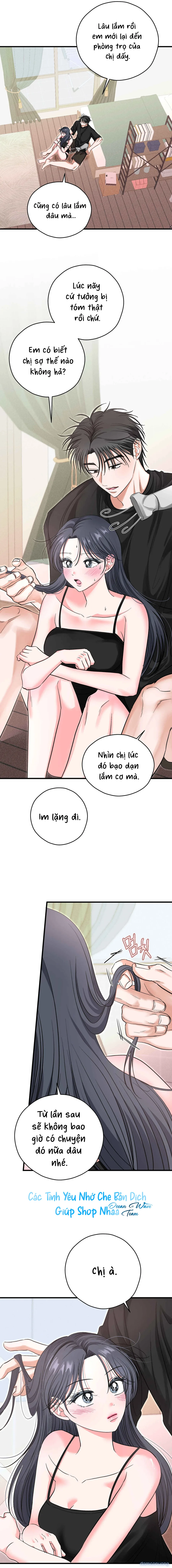 Ký Họa Đêm Hè 