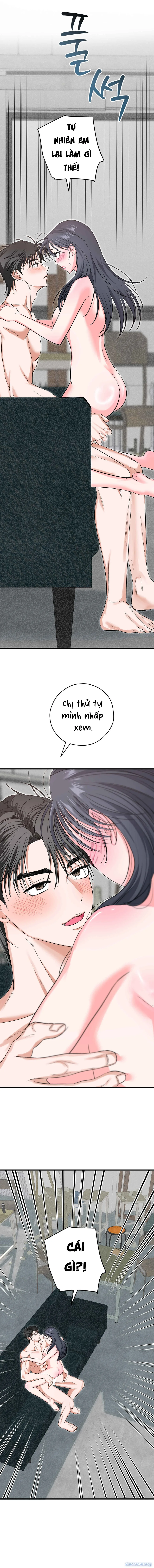 Ký Họa Đêm Hè 