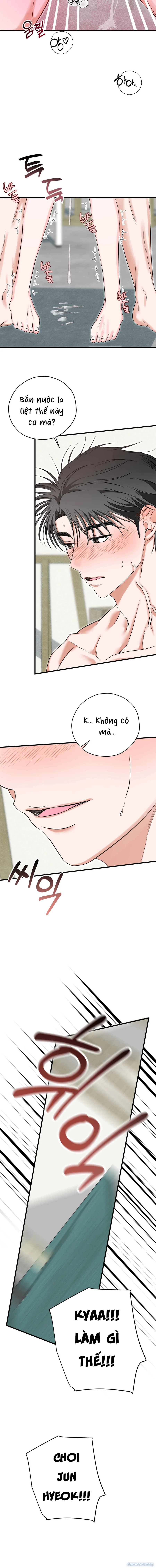Ký Họa Đêm Hè 