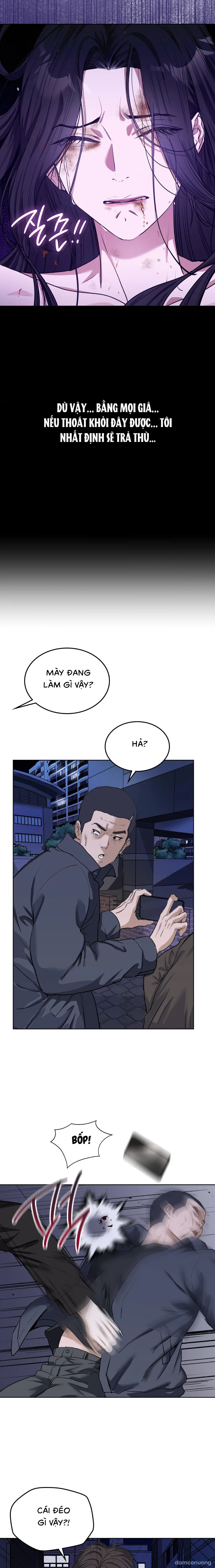 Luật Talion 