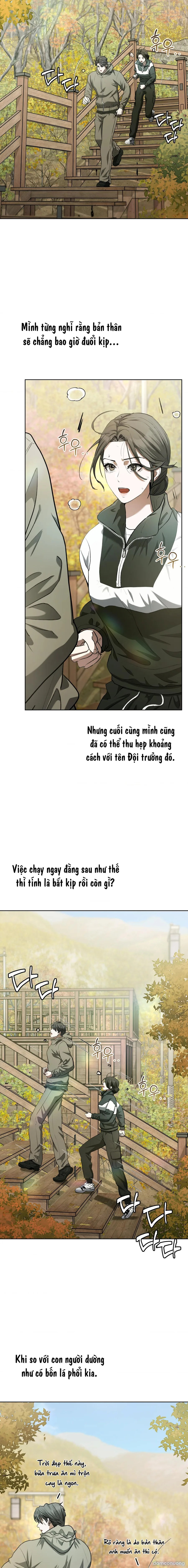 Luật Talion 