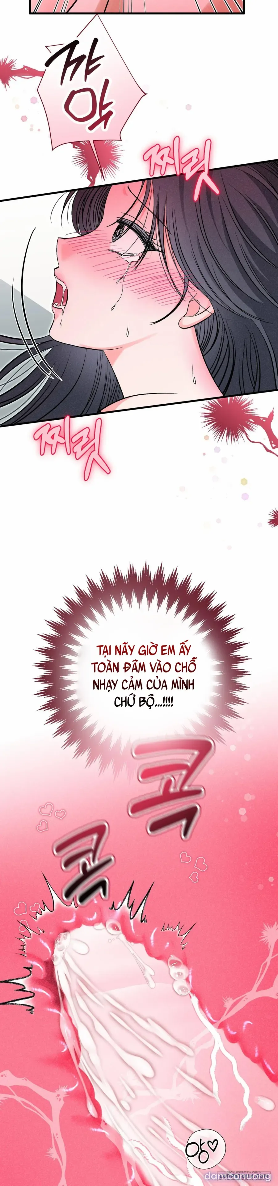 Bản Phác Thảo Đêm Hè 