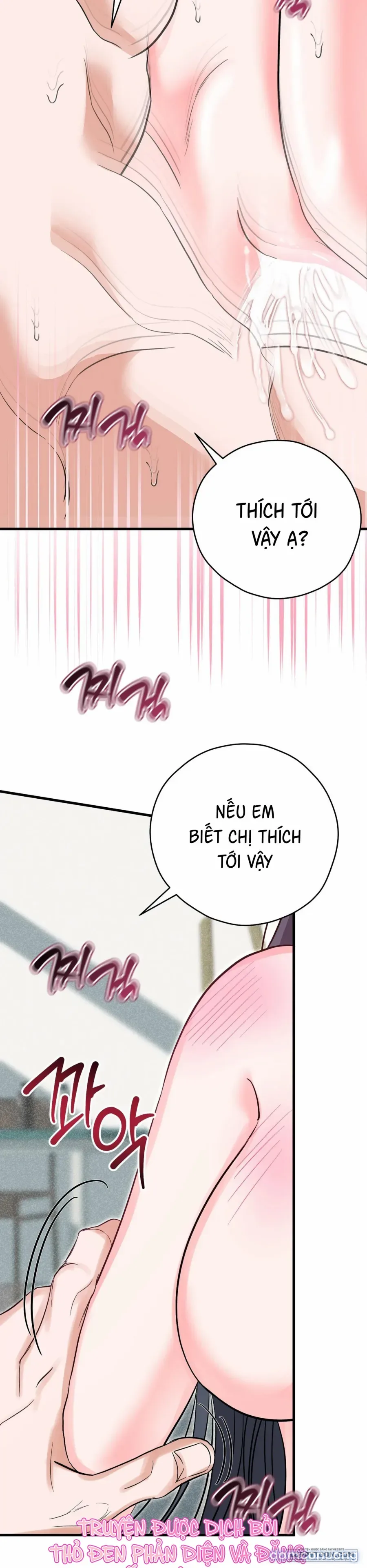 Bản Phác Thảo Đêm Hè 