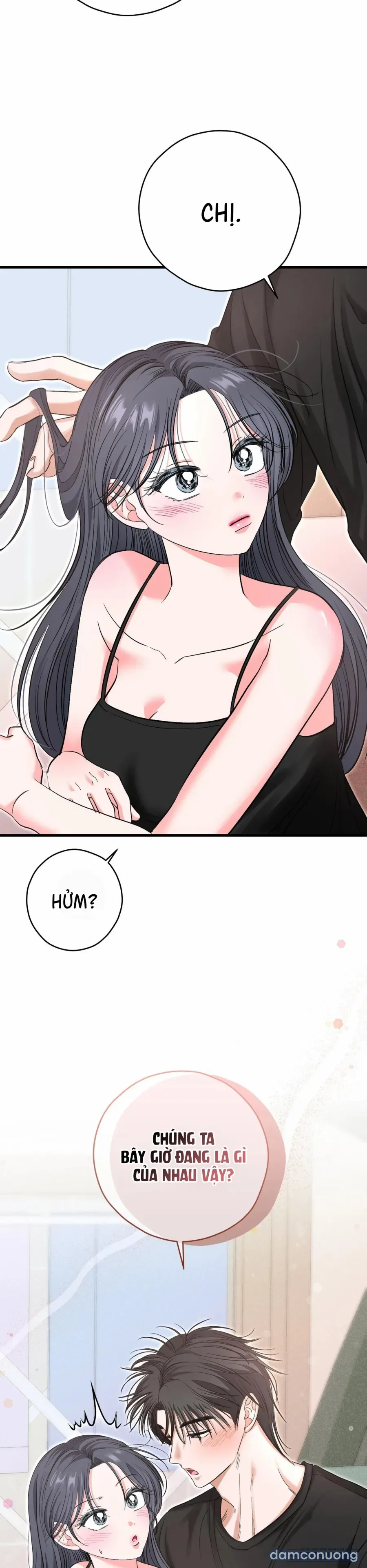 Bản Phác Thảo Đêm Hè 