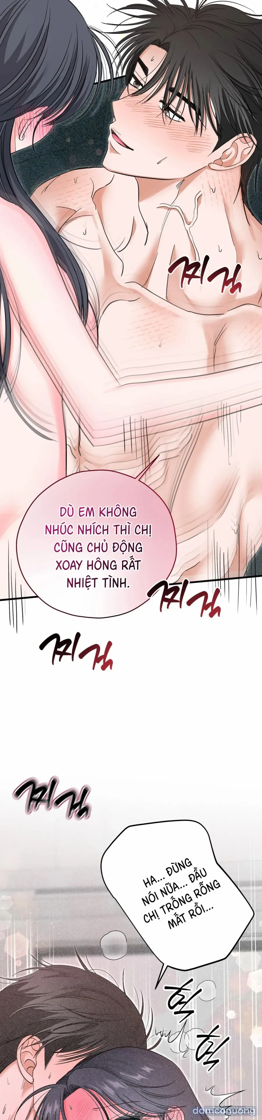 Bản Phác Thảo Đêm Hè 