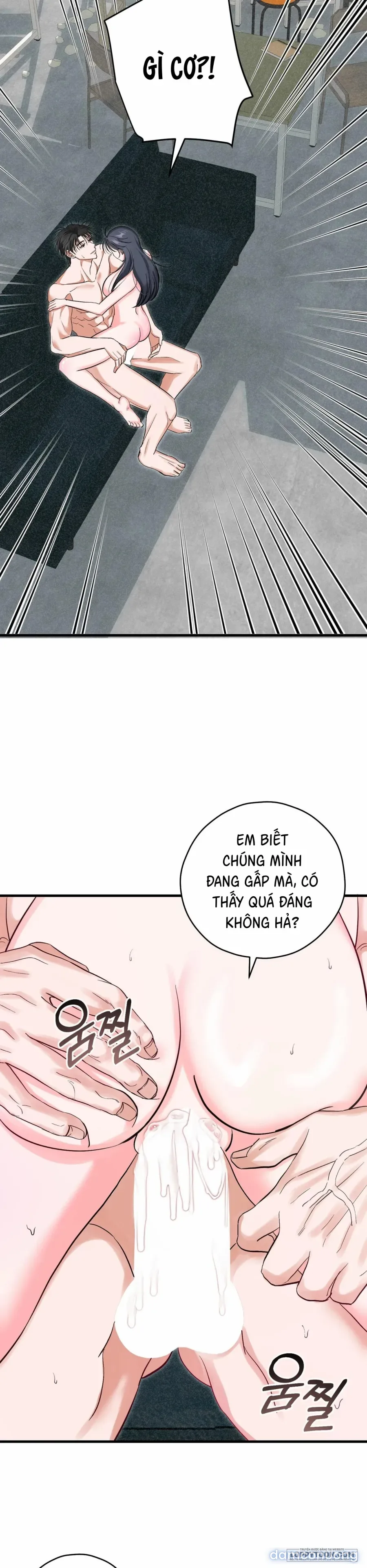 Bản Phác Thảo Đêm Hè 