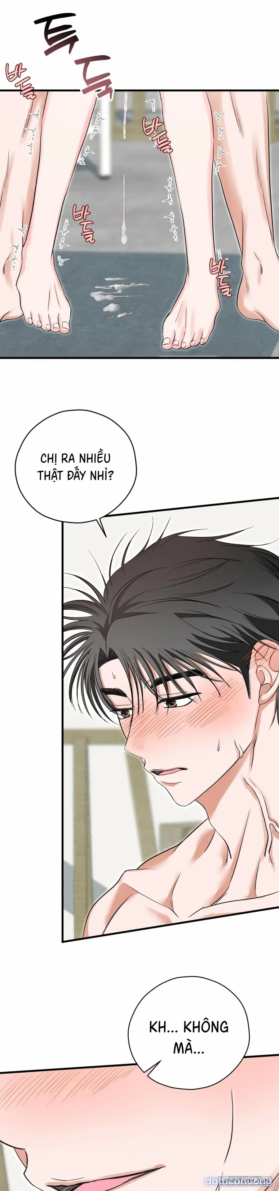 Bản Phác Thảo Đêm Hè 