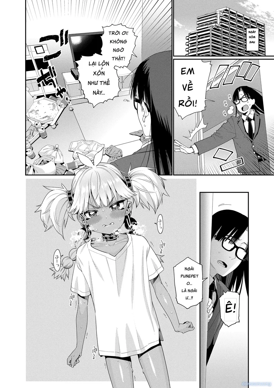 オトメオアシス 