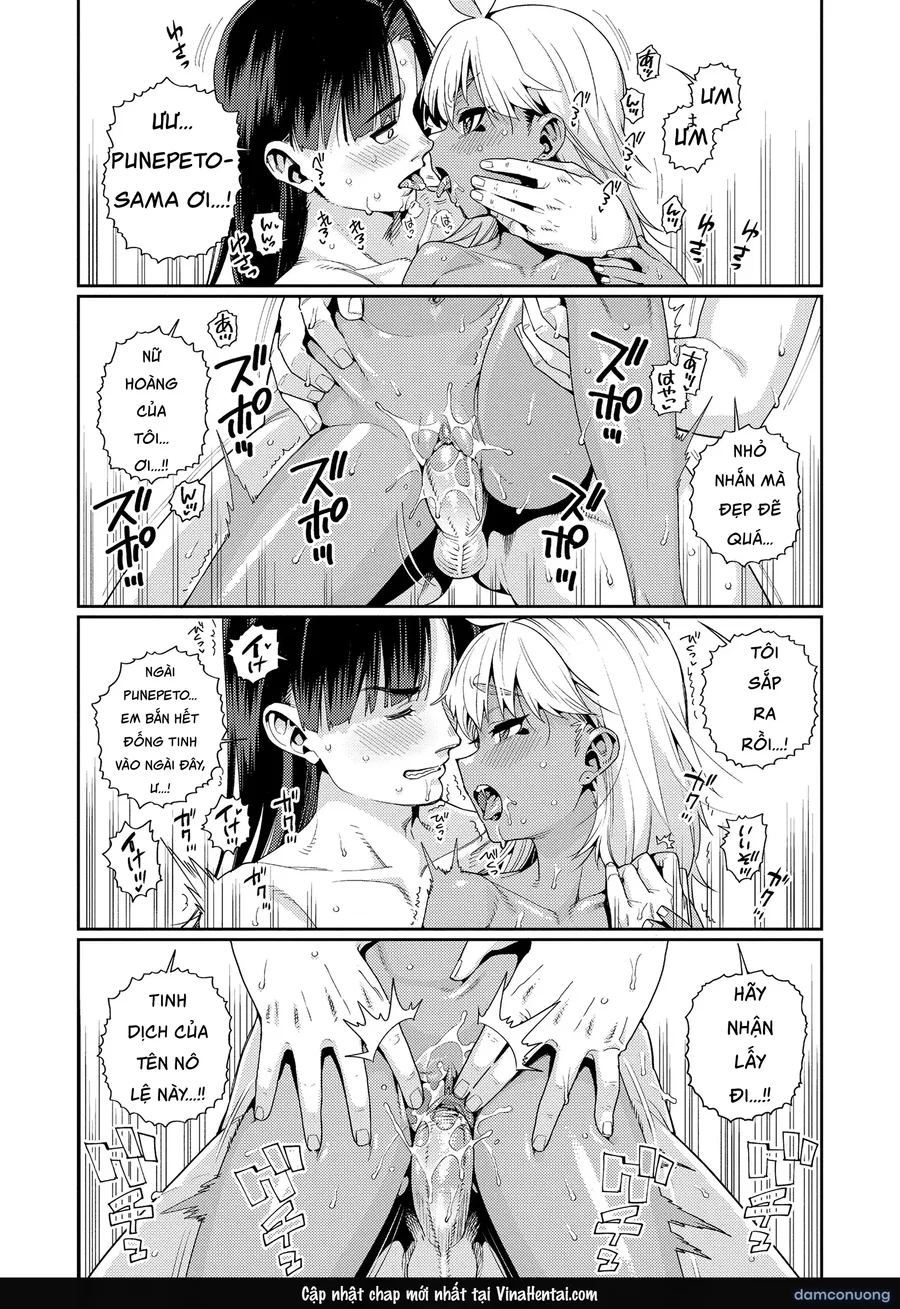 オトメオアシス 