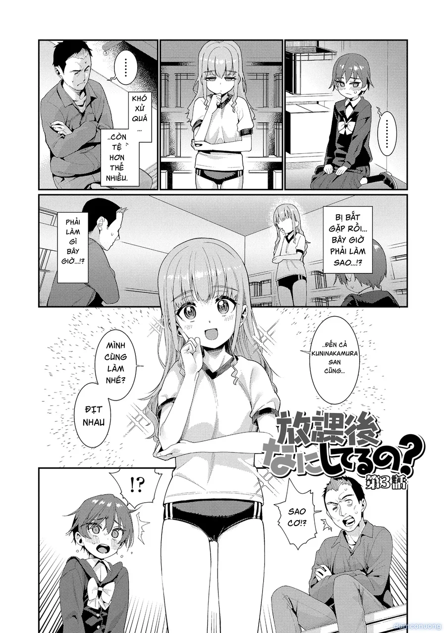 オトメオアシス 