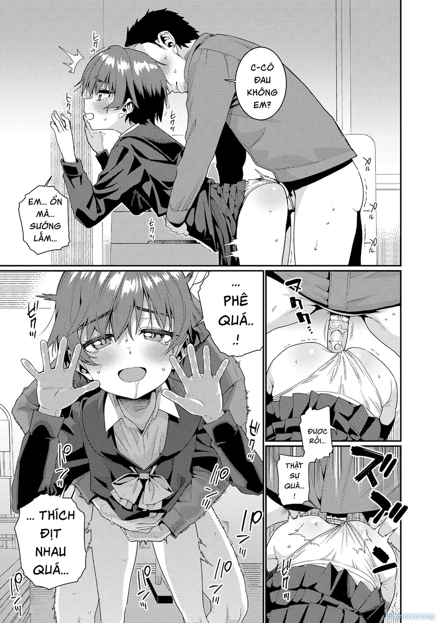 オトメオアシス 
