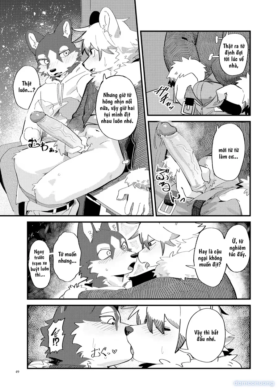 Kemoshonen Vol. 2 