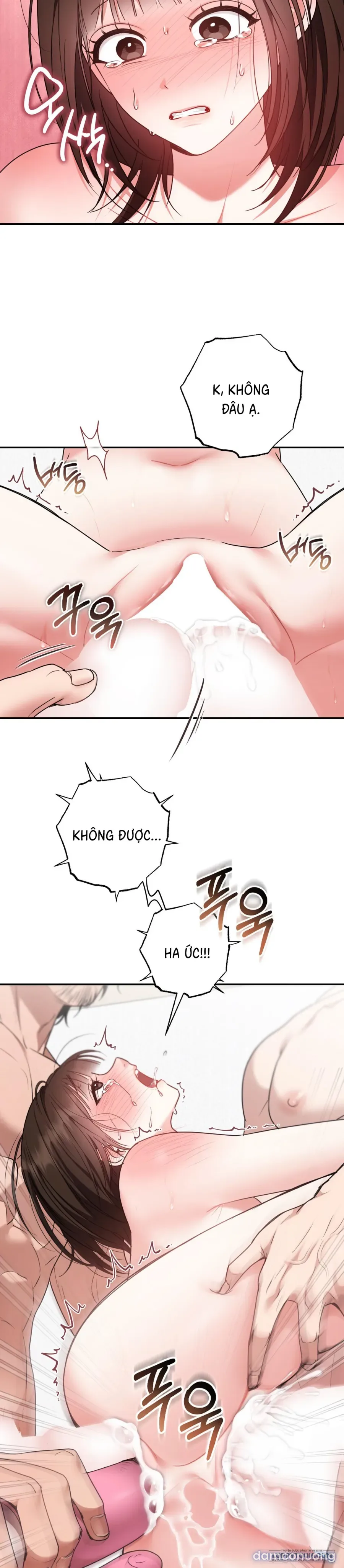 Thuần Hoá Bạn Của Bố 