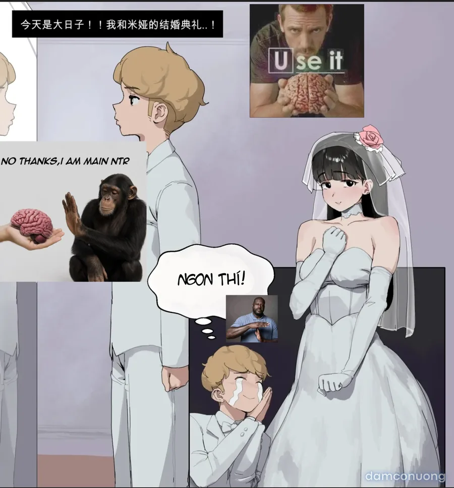 MIA NTR 
