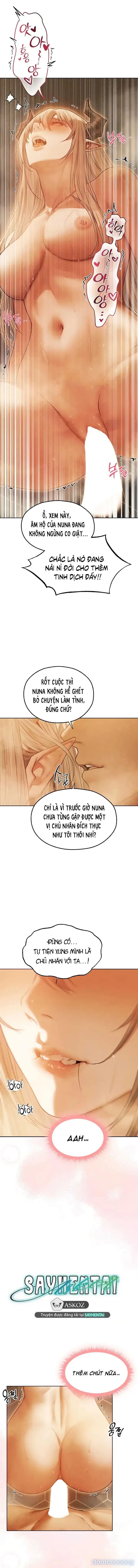 Săn MILF ở dị giới 