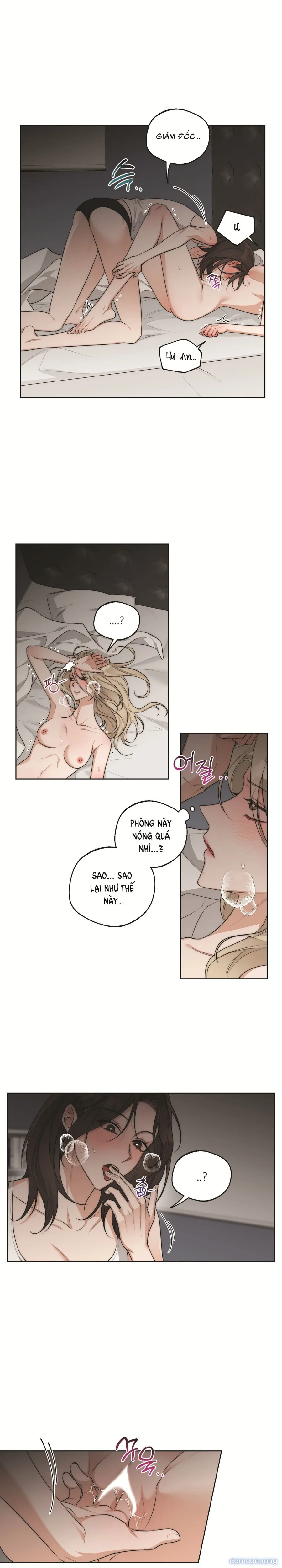 Sếp Say Xỉn Của Tôi 
