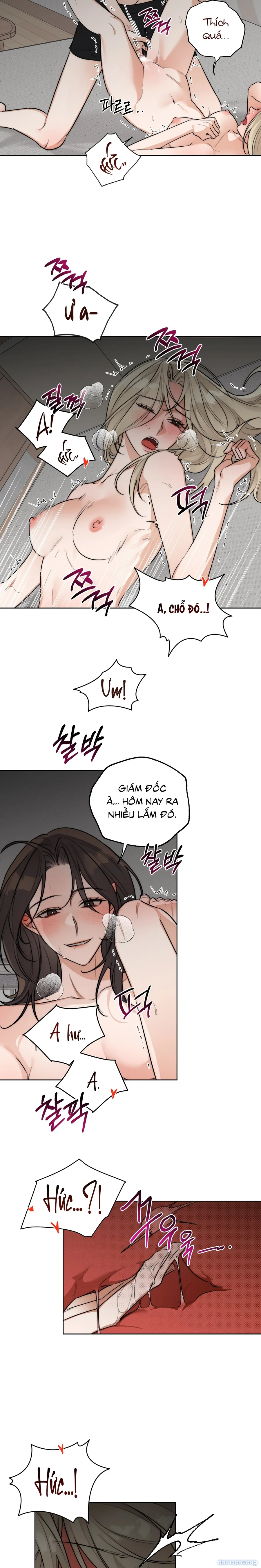 Sếp Say Xỉn Của Tôi 