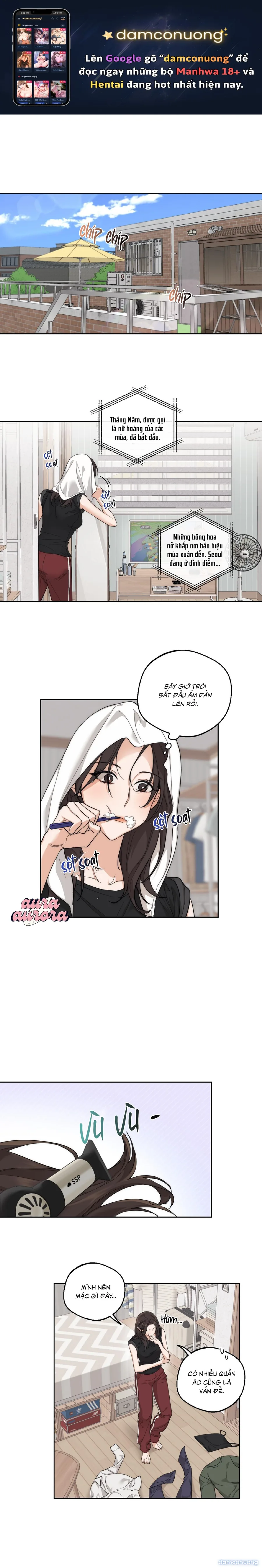 Sếp Say Xỉn Của Tôi 