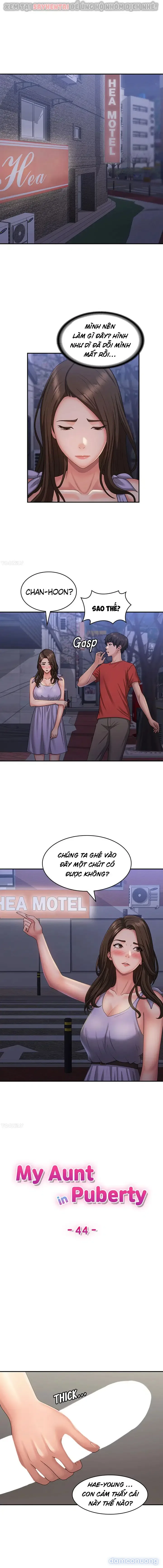 Ba Người Một Mái Nhà 