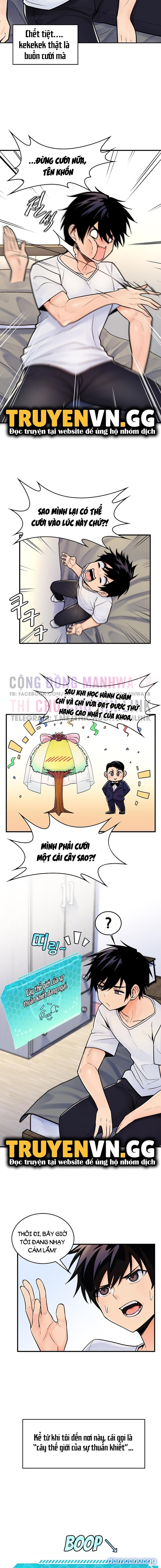 Phịch Cây Thế Giới 