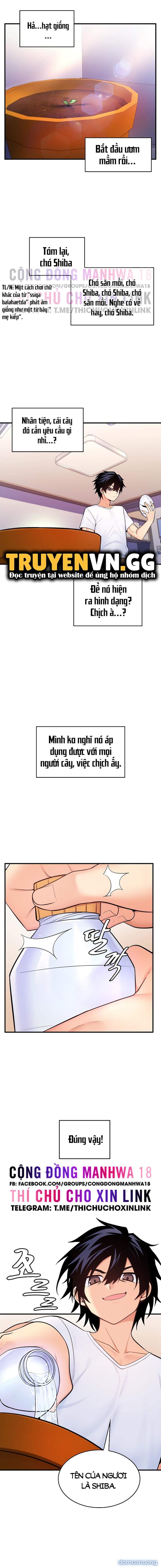Phịch Cây Thế Giới 