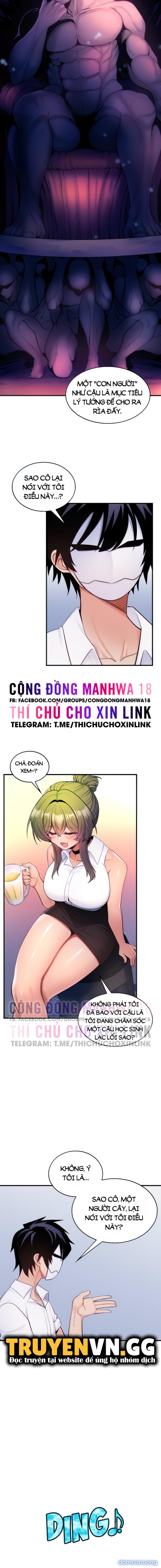 Phịch Cây Thế Giới 