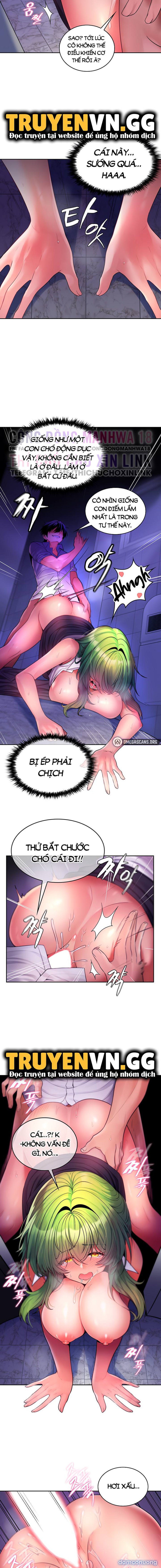 Phịch Cây Thế Giới 