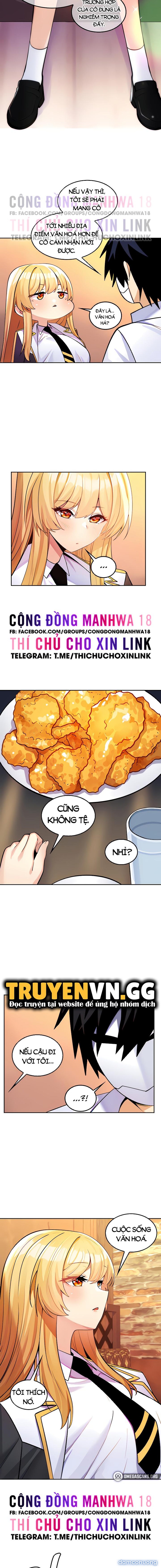 Phịch Cây Thế Giới 