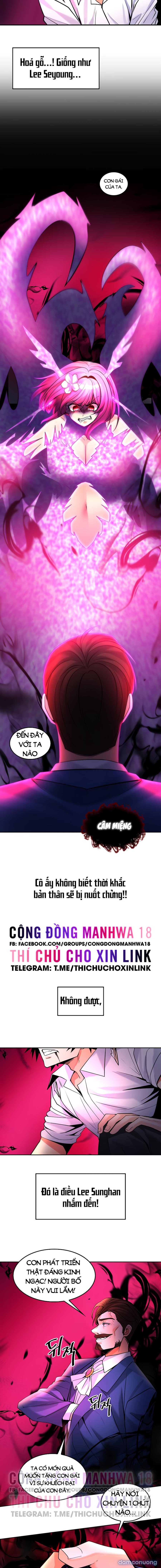 Phịch Cây Thế Giới 