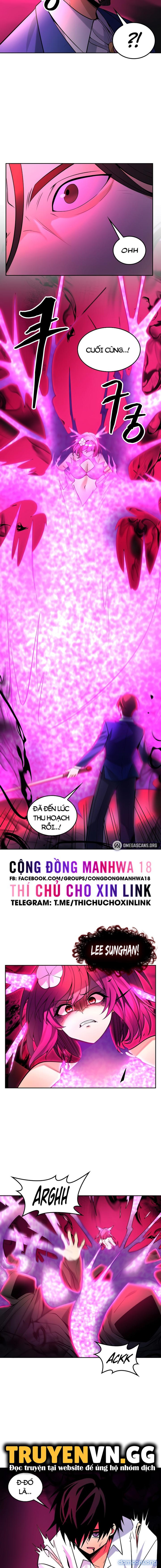 Phịch Cây Thế Giới 