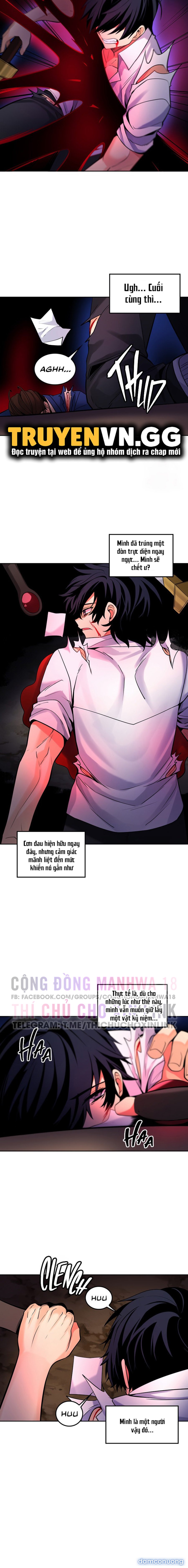 Phịch Cây Thế Giới 