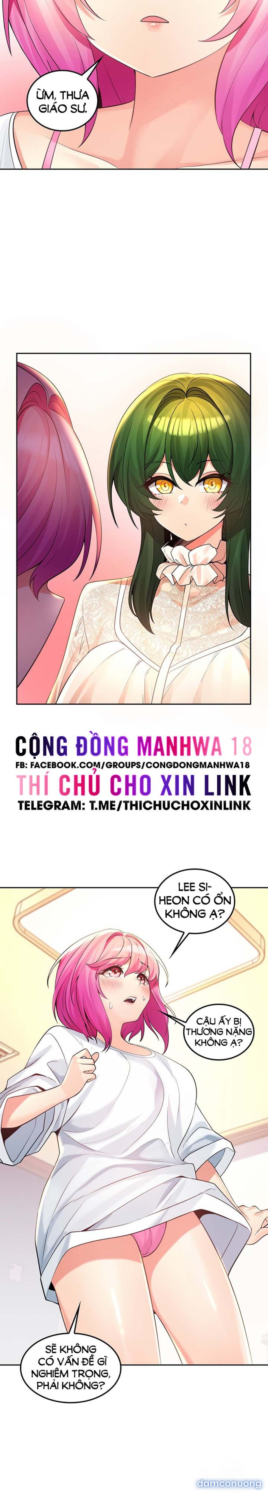 Phịch Cây Thế Giới 