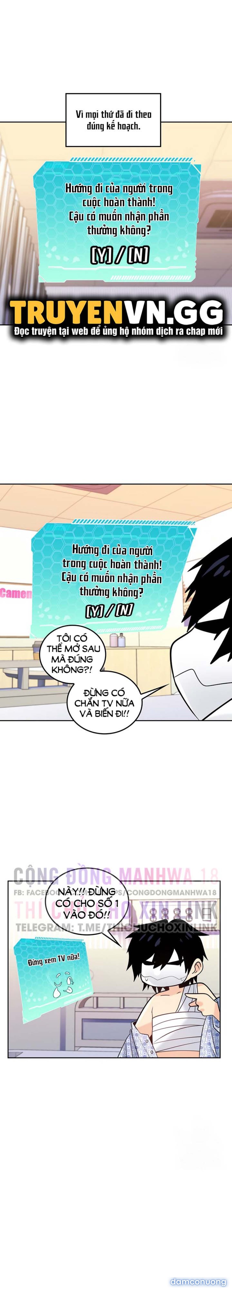 Phịch Cây Thế Giới 