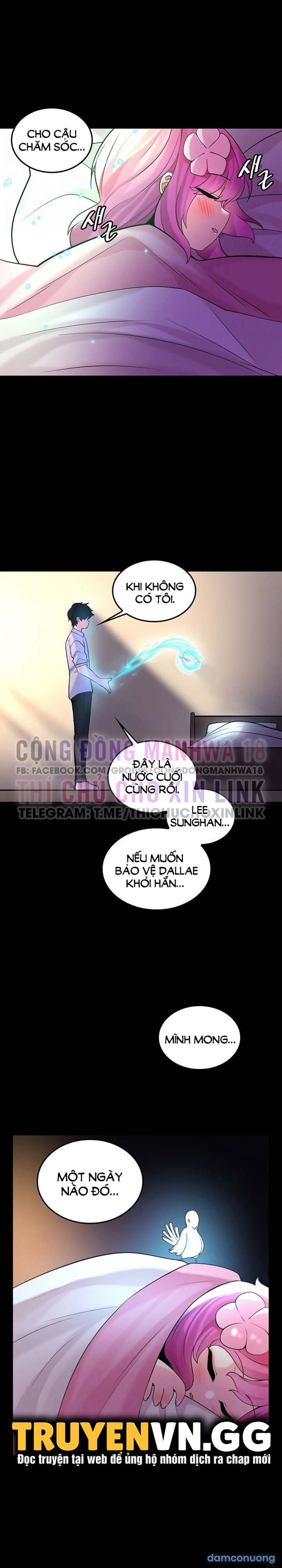 Phịch Cây Thế Giới 