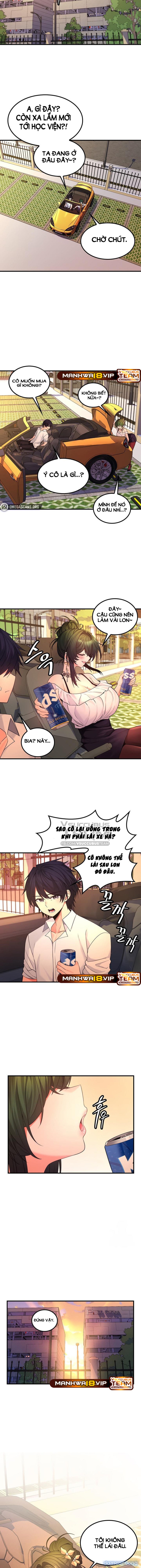 Phịch Cây Thế Giới 