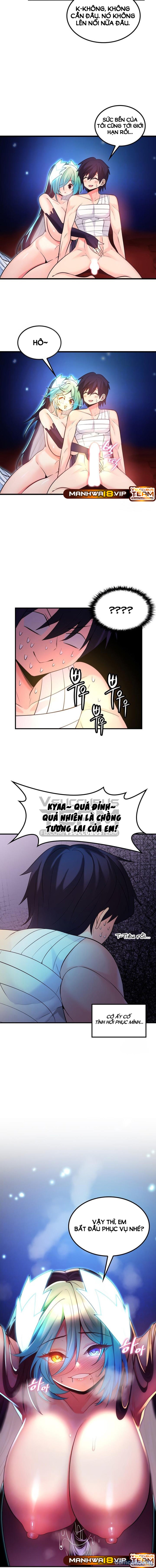 Phịch Cây Thế Giới 