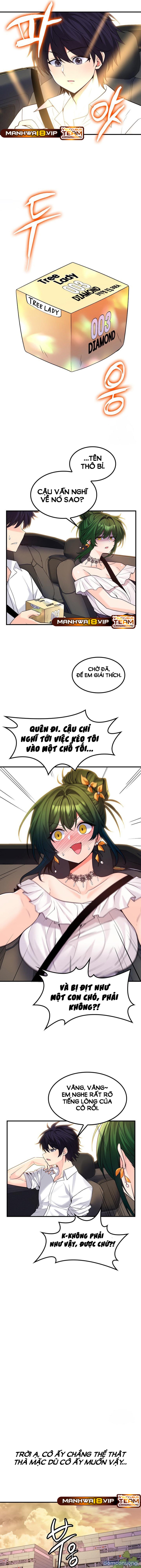 Phịch Cây Thế Giới 