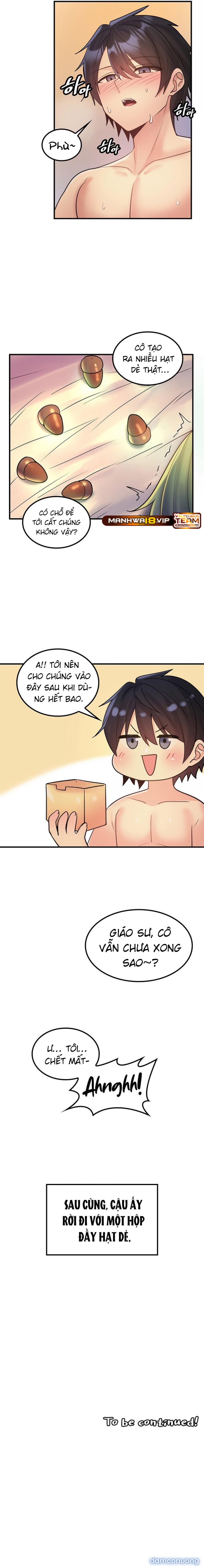 Phịch Cây Thế Giới 