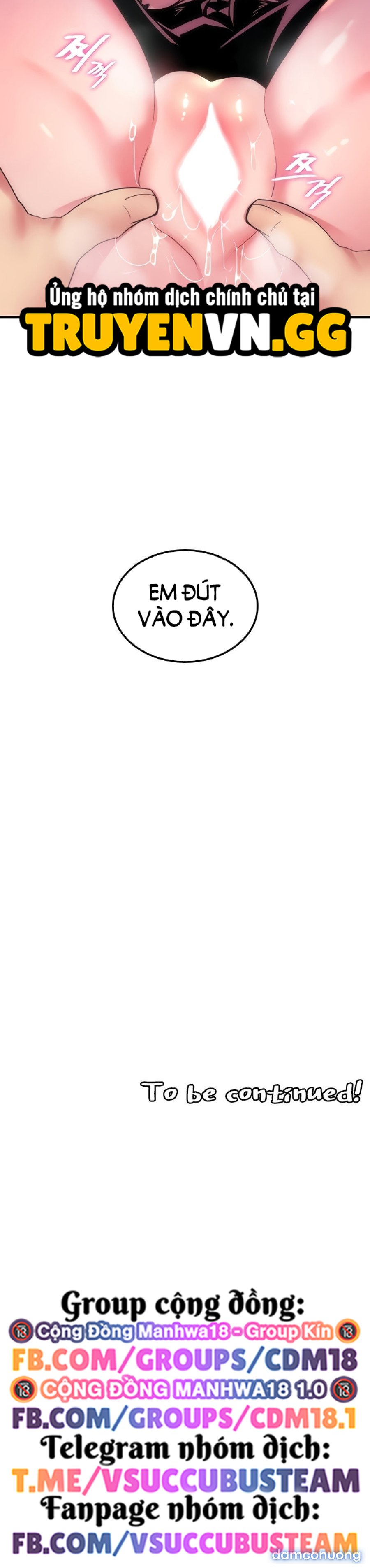 Phịch Cây Thế Giới 