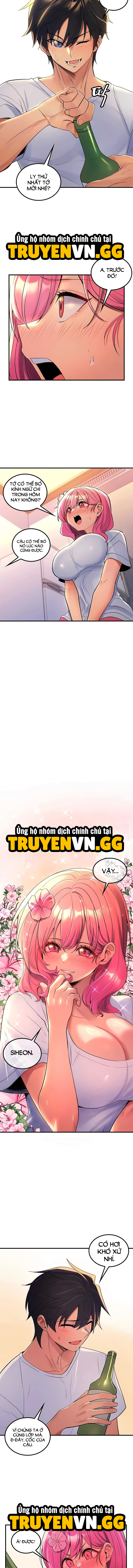 Phịch Cây Thế Giới 