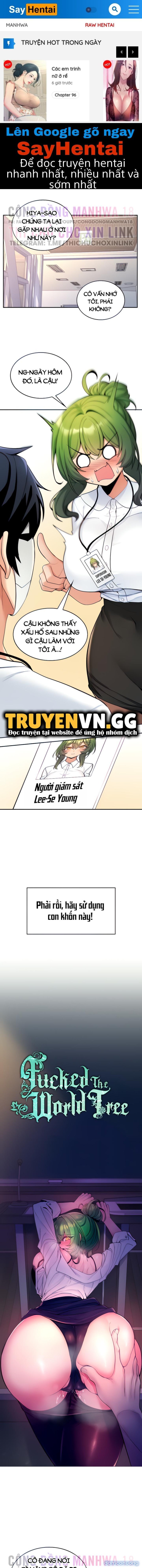Phịch Cây Thế Giới 