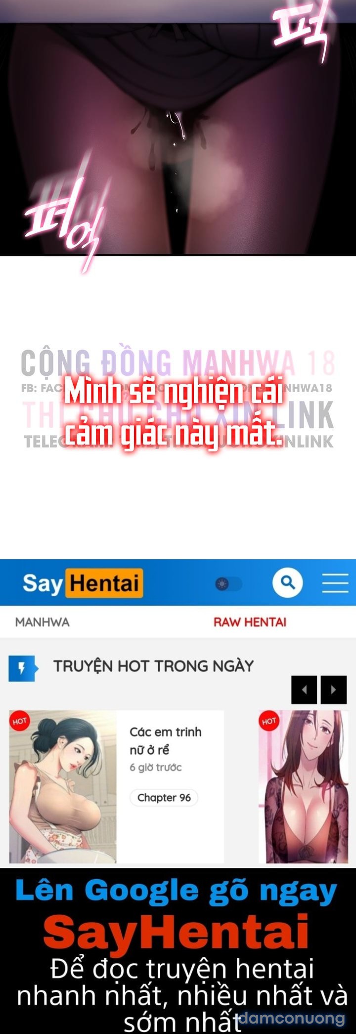 Phịch Cây Thế Giới 