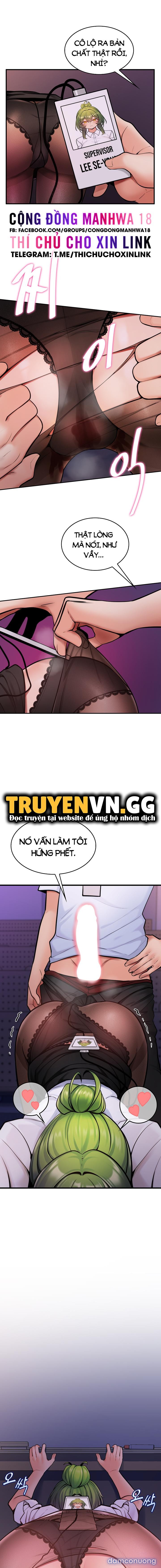 Phịch Cây Thế Giới 