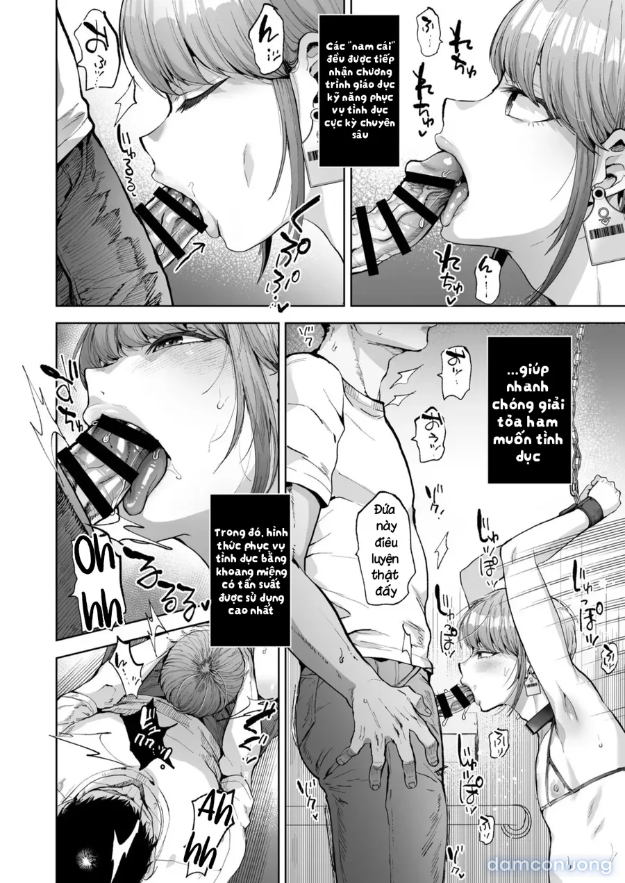 Đạo luật "Nam cái" 