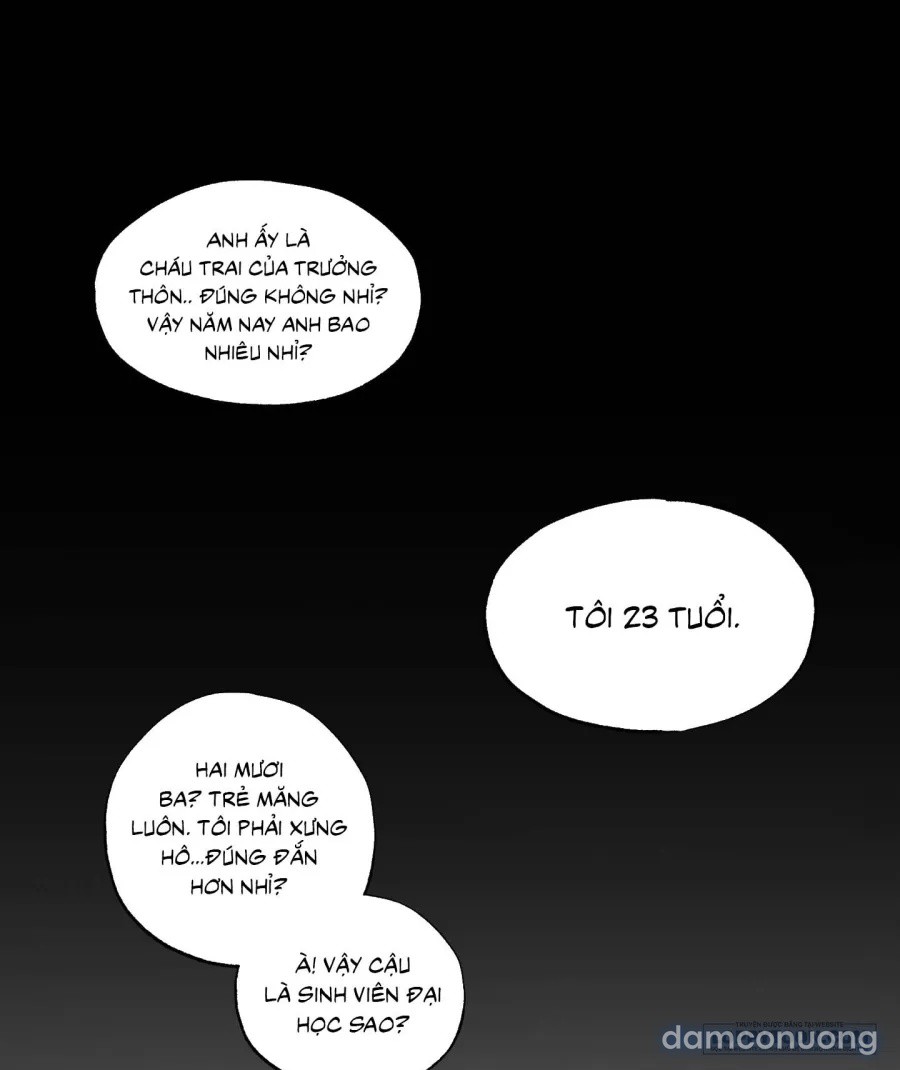 Mùa Hè Năm Ấy, Tựa Như Hoa Dại 