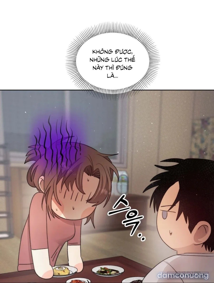 Mùa Hè Năm Ấy, Tựa Như Hoa Dại 